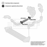 BORG & BECK BTH1010 Ladeluftschlauch
