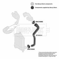 BORG & BECK BTH1014 Ladeluftschlauch