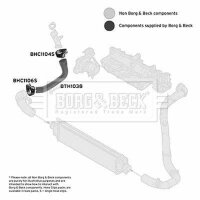 BORG & BECK BTH1038 Ladeluftschlauch