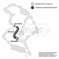 BORG & BECK BTH1110 Ladeluftschlauch