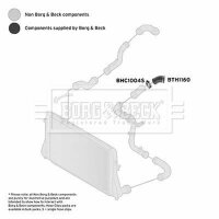 BORG & BECK BTH1160 Ladeluftschlauch