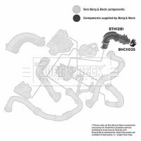 BORG & BECK BTH1281 Ladeluftschlauch