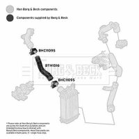 BORG & BECK BTH1516 Ladeluftschlauch