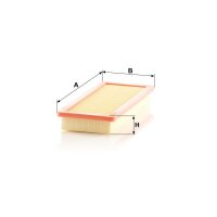 MANN-FILTER C 36 002 Luftfilter