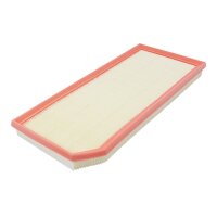 FILTRON AP 005/2 Luftfilter