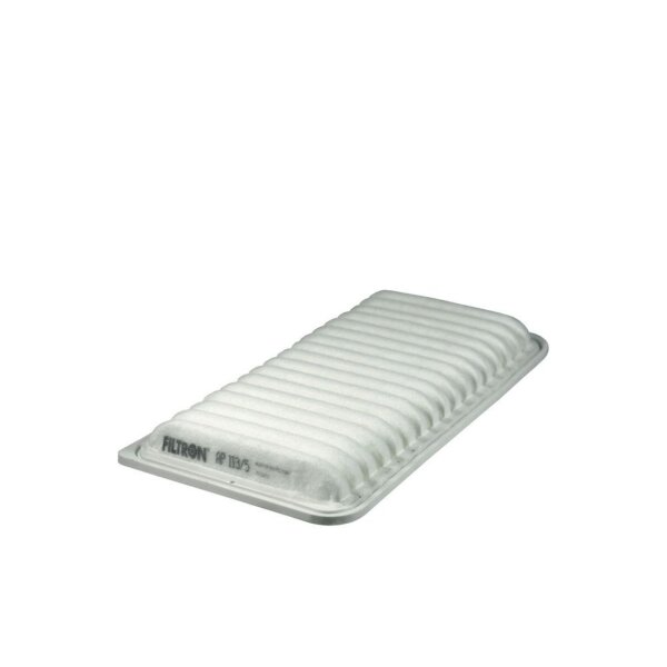 FILTRON AP 113/5 Luftfilter