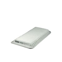 FILTRON AP 113/5 Luftfilter