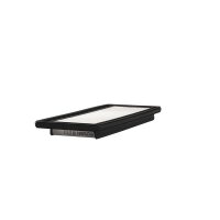 FILTRON AP 177/2 Luftfilter