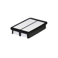 FILTRON AP 197/6 Luftfilter