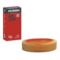 FILTRON AR 229 Luftfilter
