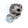 CLIMTEX CX8-129 Lader, Aufladung