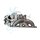 CLIMTEX CX8-158 Lader, Aufladung