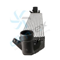 CLIMTEX CH4-321 Ladeluftkühler