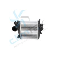 CLIMTEX CH4-998 Ladeluftkühler
