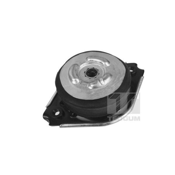 TEDGUM 00418536 Lagerung, Motor