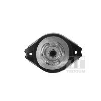 TEDGUM 00418536 Lagerung, Motor
