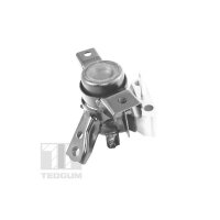 TEDGUM TED13922 Lagerung, Motor