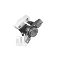 TEDGUM TED13922 Lagerung, Motor