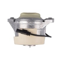 TEDGUM TED24521 Lagerung, Motor