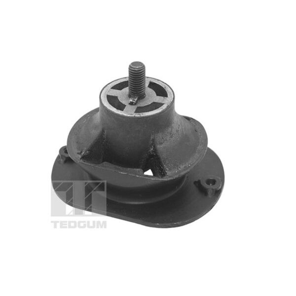 TEDGUM TED40521 Lagerung, Motor