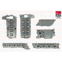 FAI AutoParts BCH261 Zylinderkopf
