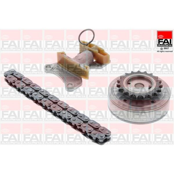 FAI AutoParts TCK124VVT Steuerkettensatz