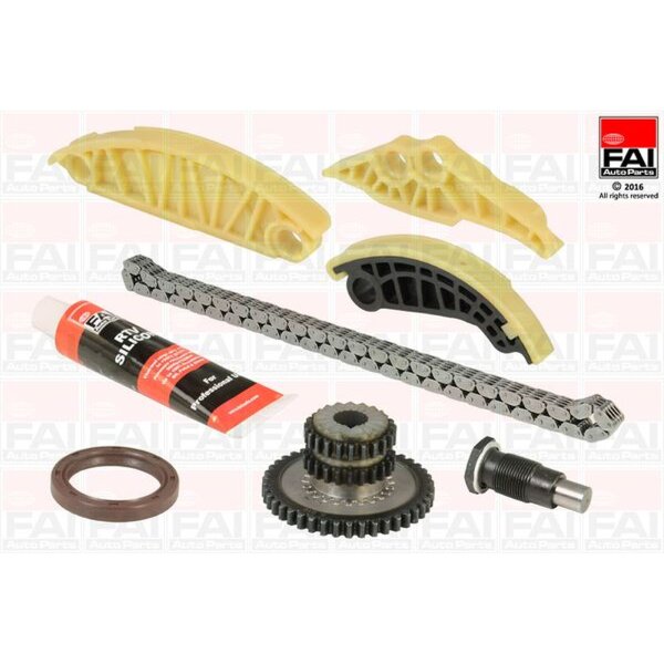 FAI AutoParts TCK175 Steuerkettensatz