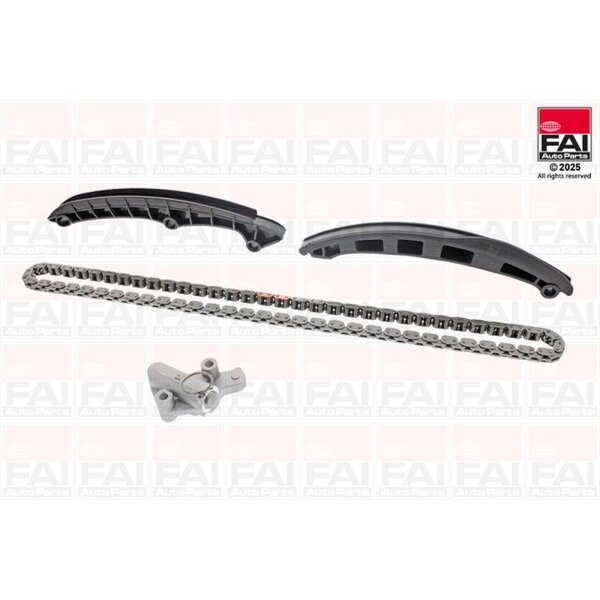FAI AutoParts TCK210WONG Steuerkettensatz