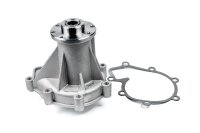 DR!VE+ DP2310.10.002 Wasserpumpe, Motorkühlung