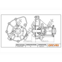 DR!VE+ DP2310.10.002 Wasserpumpe, Motorkühlung