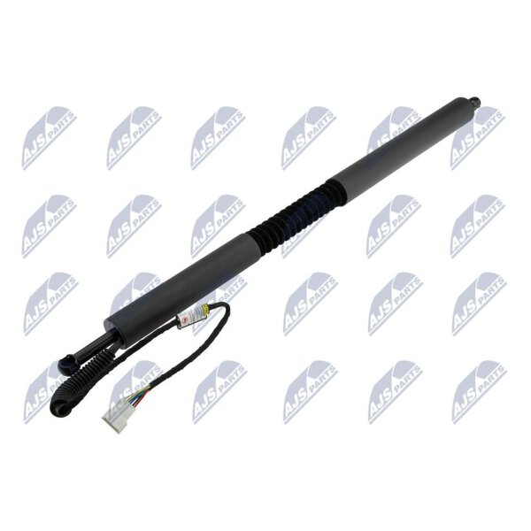 NTY AE-BM-110 Gasfeder, Koffer-/Laderaum