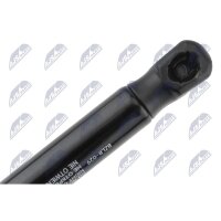NTY AE-LR-029 Gasfeder, Koffer-/Laderaum