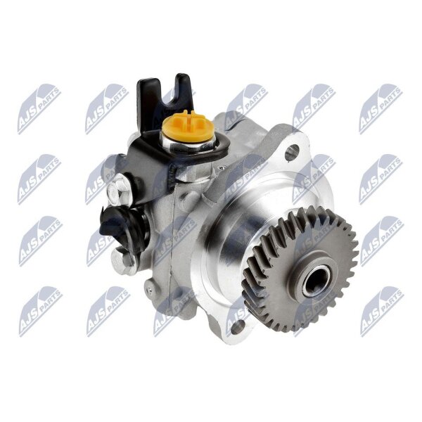 NTY SPW-NS-011 Hydraulikpumpe, Lenkung