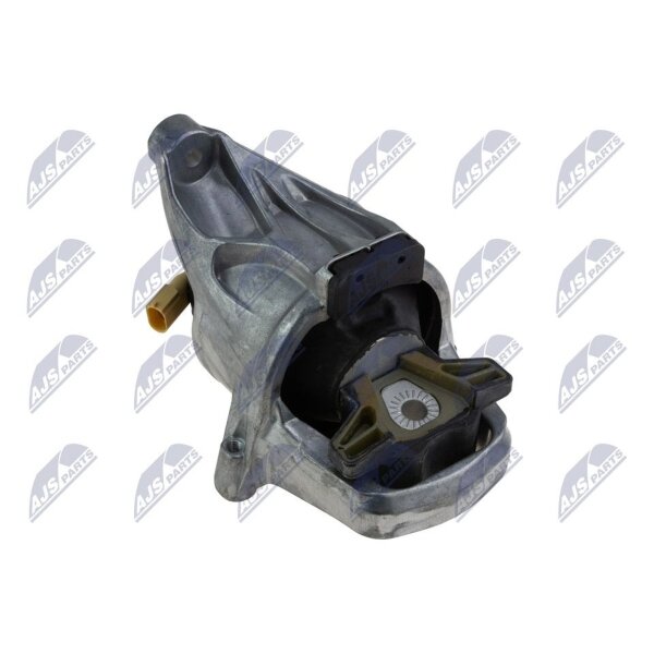 NTY ZPS-AU-043 Lagerung, Motor