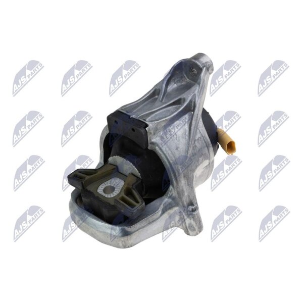 NTY ZPS-AU-044 Lagerung, Motor