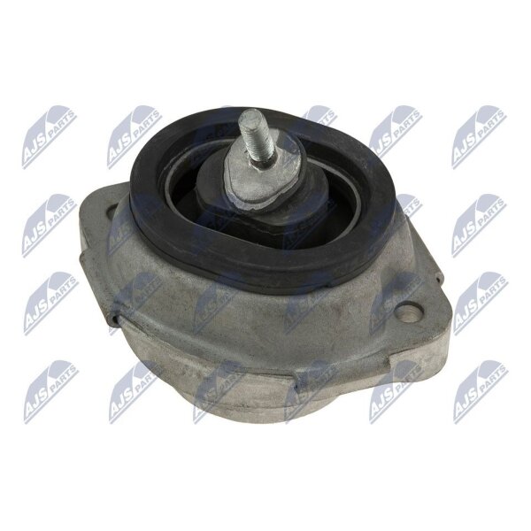 NTY ZPS-BM-001 Lagerung, Motor