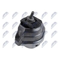 NTY ZPS-BM-024 Lagerung, Motor