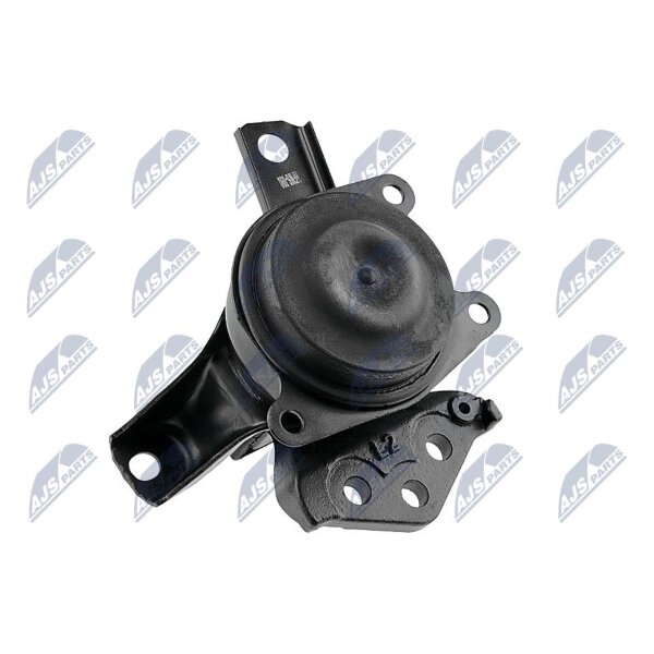 NTY ZPS-MS-090 Lagerung, Motor