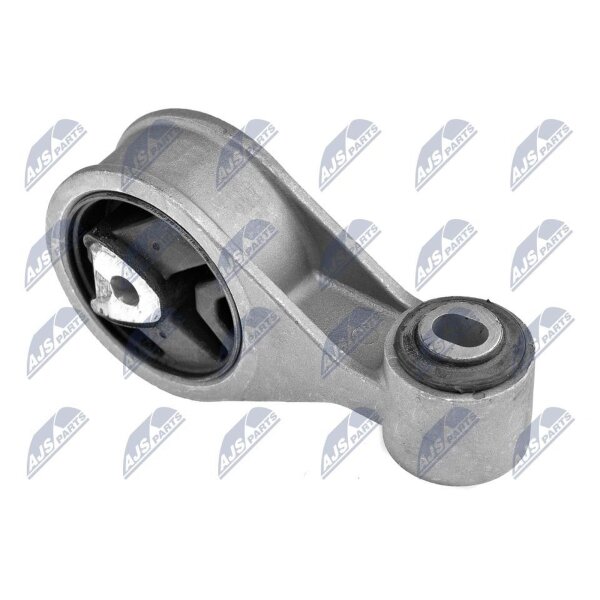NTY ZPS-NS-062 Lagerung, Motor