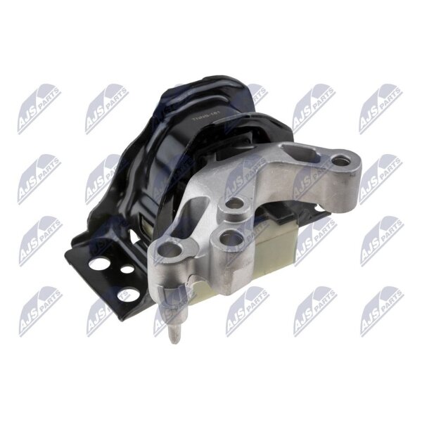 NTY ZPS-NS-181 Lagerung, Motor