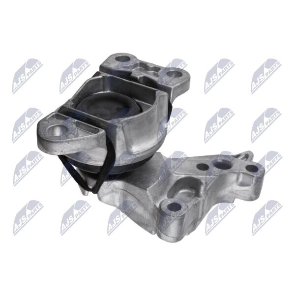 NTY ZPS-RE-077 Lagerung, Motor