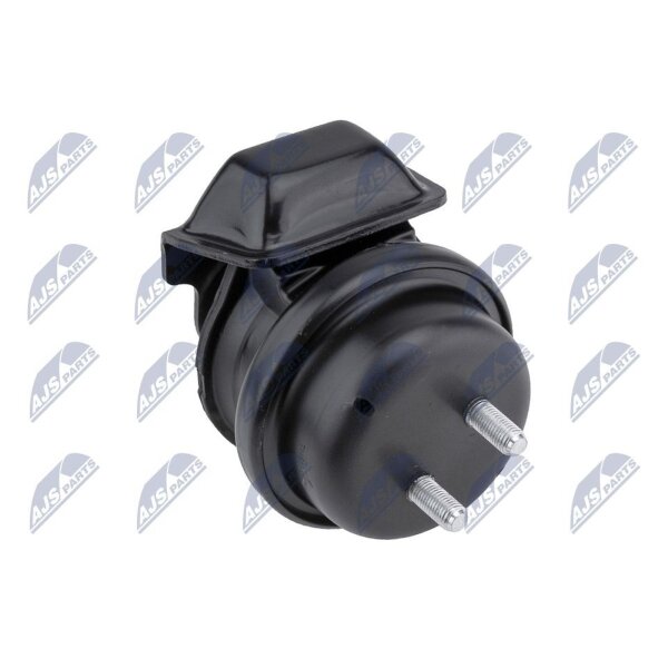 NTY ZPS-SU-034 Lagerung, Motor