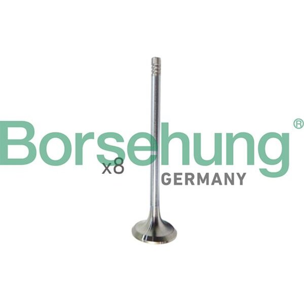 Borsehung B10322 Einlassventil
