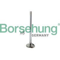 Borsehung B10322 Einlassventil