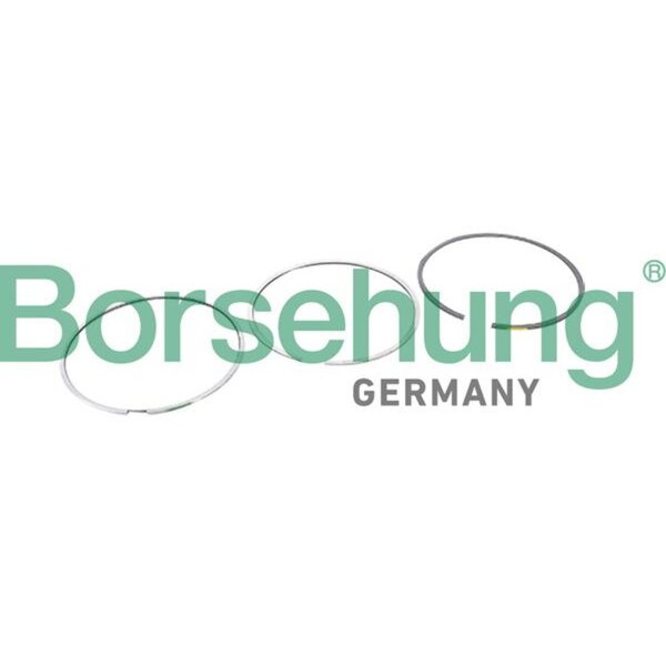 Borsehung B10364 Kolbenringsatz