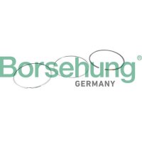 Borsehung B10364 Kolbenringsatz