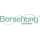 Borsehung B10364 Kolbenringsatz