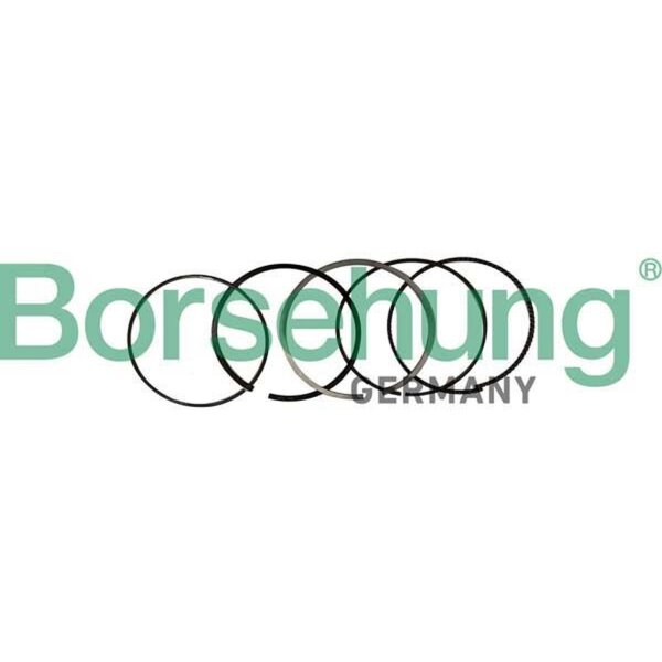 Borsehung B10369 Kolbenringsatz