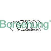 Borsehung B10369 Kolbenringsatz