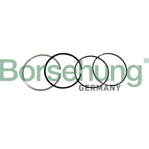 Borsehung B10371 Kolbenringsatz